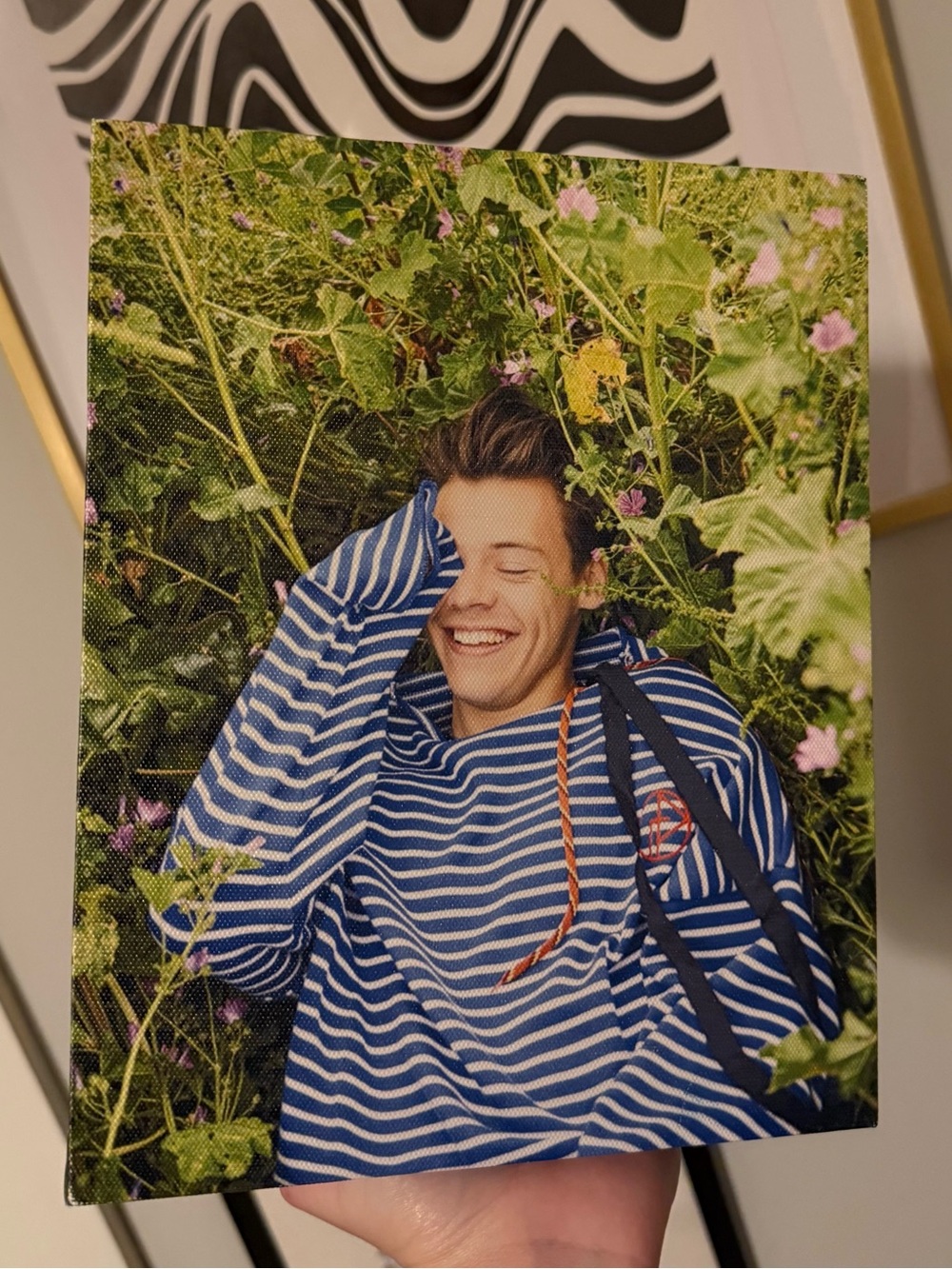 Harry Styles canvas 8x10